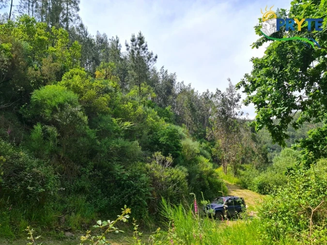 Terreno para Venda em Castelo Foto 45