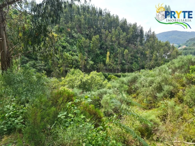 Terreno para Venda em Castelo Foto 46