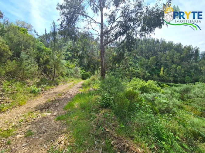 Terreno para Venda em Castelo Foto 47