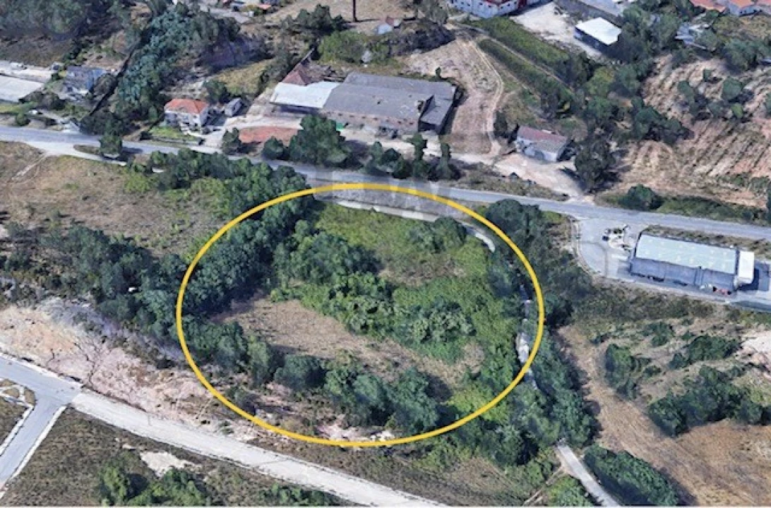 Terreno Comércio / Armazém para Venda em Milharado Foto 2