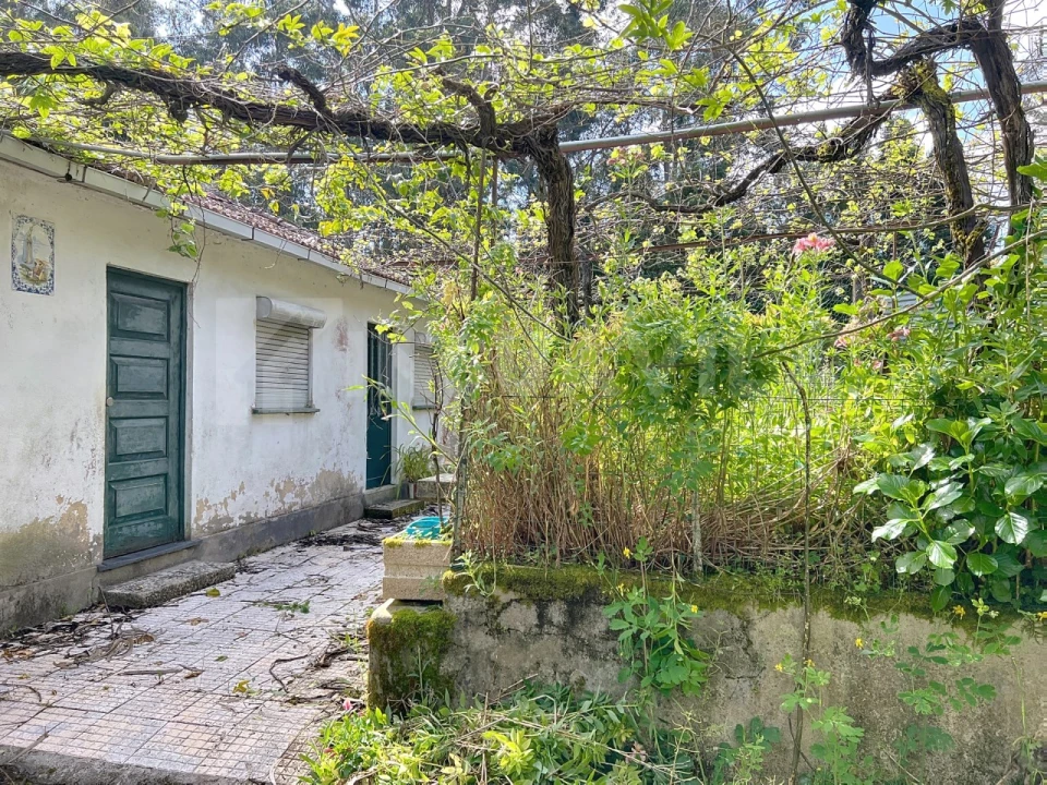 Moradia T3 para Venda em Caminha (Matriz) e Vilarelho Foto 8