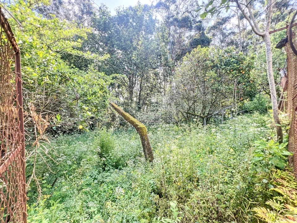 Moradia T3 para Venda em Caminha (Matriz) e Vilarelho Foto 26