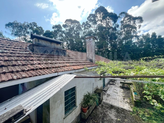 Moradia T3 para Venda em Caminha (Matriz) e Vilarelho Foto 12