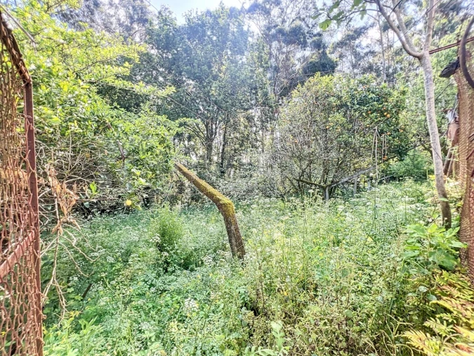 Moradia T3 para Venda em Caminha (Matriz) e Vilarelho Foto 26