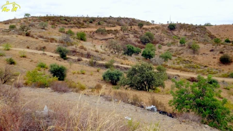 Terreno Comércio / Armazém para Venda em Odeleite