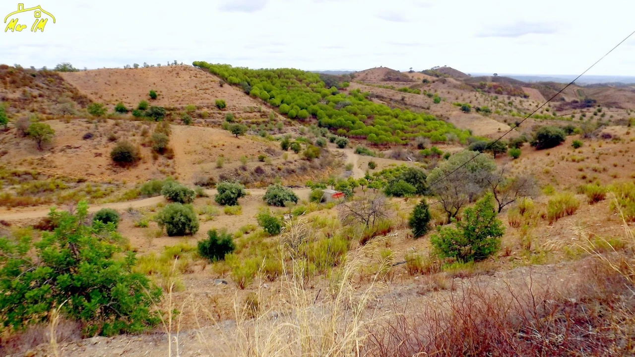 Terreno Comércio / Armazém para Venda em Odeleite Foto 10