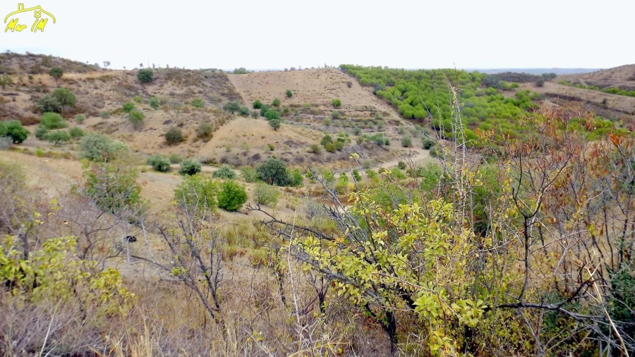 Terreno Comércio / Armazém para Venda em Odeleite Foto 48