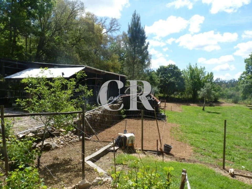 Moradia T3 para Venda em Cabeçudo Foto 68