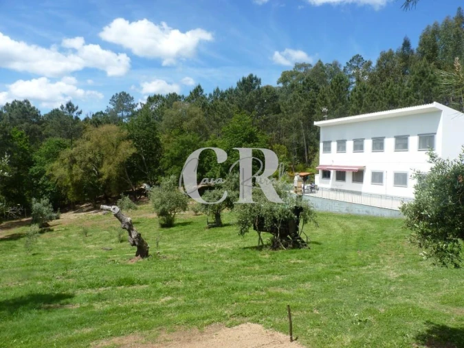 Moradia T3 para Venda em Cabeçudo Foto 73