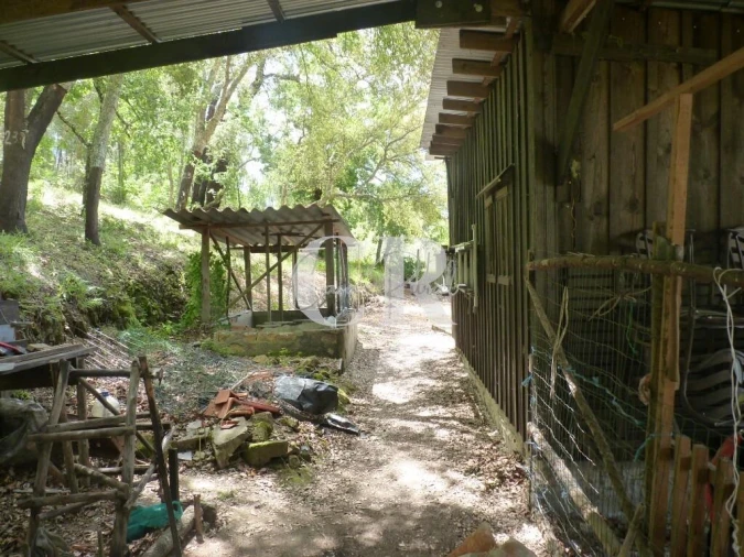 Moradia T3 para Venda em Cabeçudo Foto 70