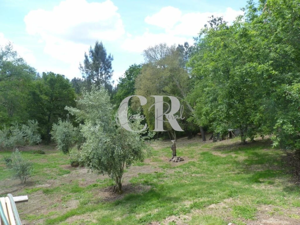 Moradia T3 para Venda em Cabeçudo Foto 57