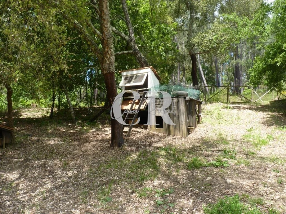 Moradia T3 para Venda em Cabeçudo Foto 75