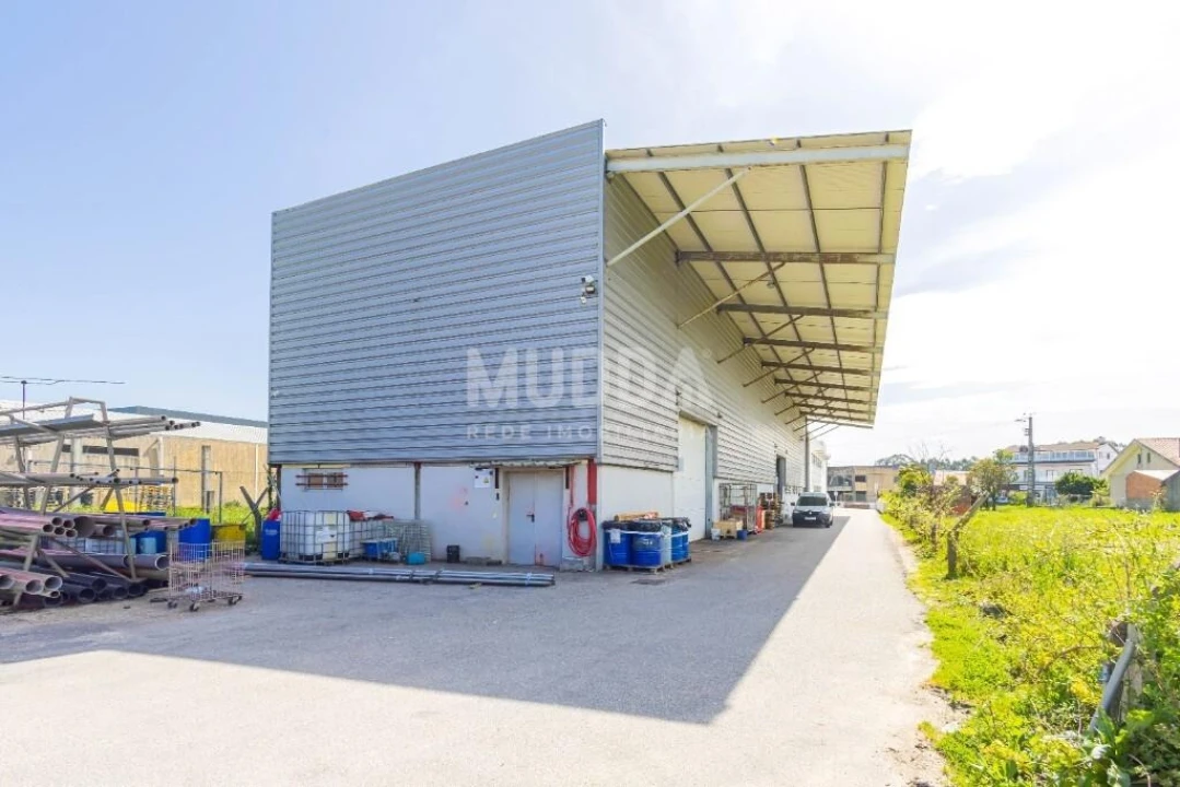 Negócio para Venda em Cacia Foto 12