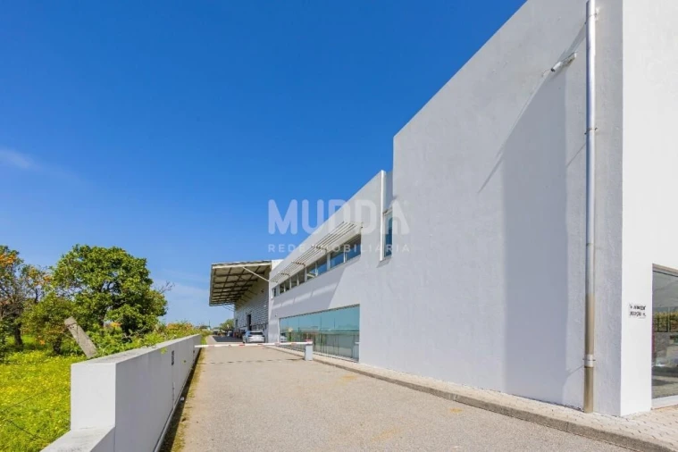 Negócio para Venda em Cacia Foto 2