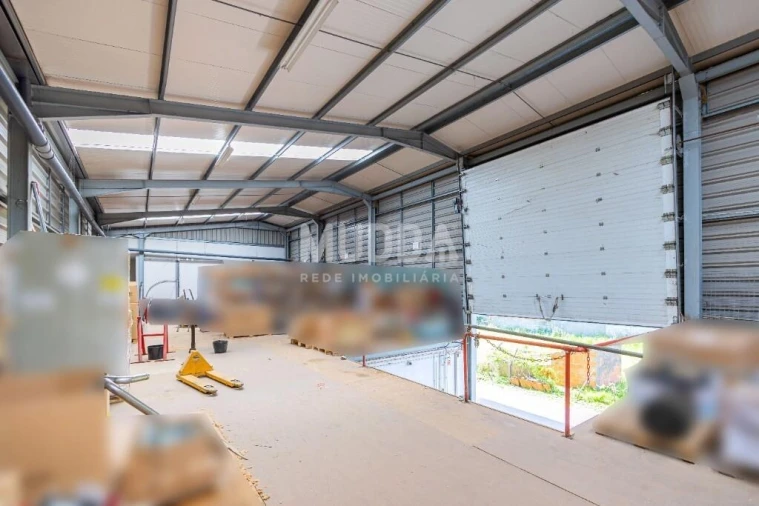 Negócio para Venda em Cacia Foto 11