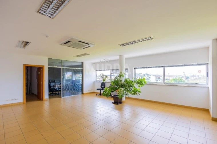 Negócio para Venda em Cacia Foto 5