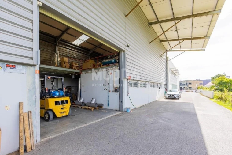 Negócio para Venda em Cacia Foto 14