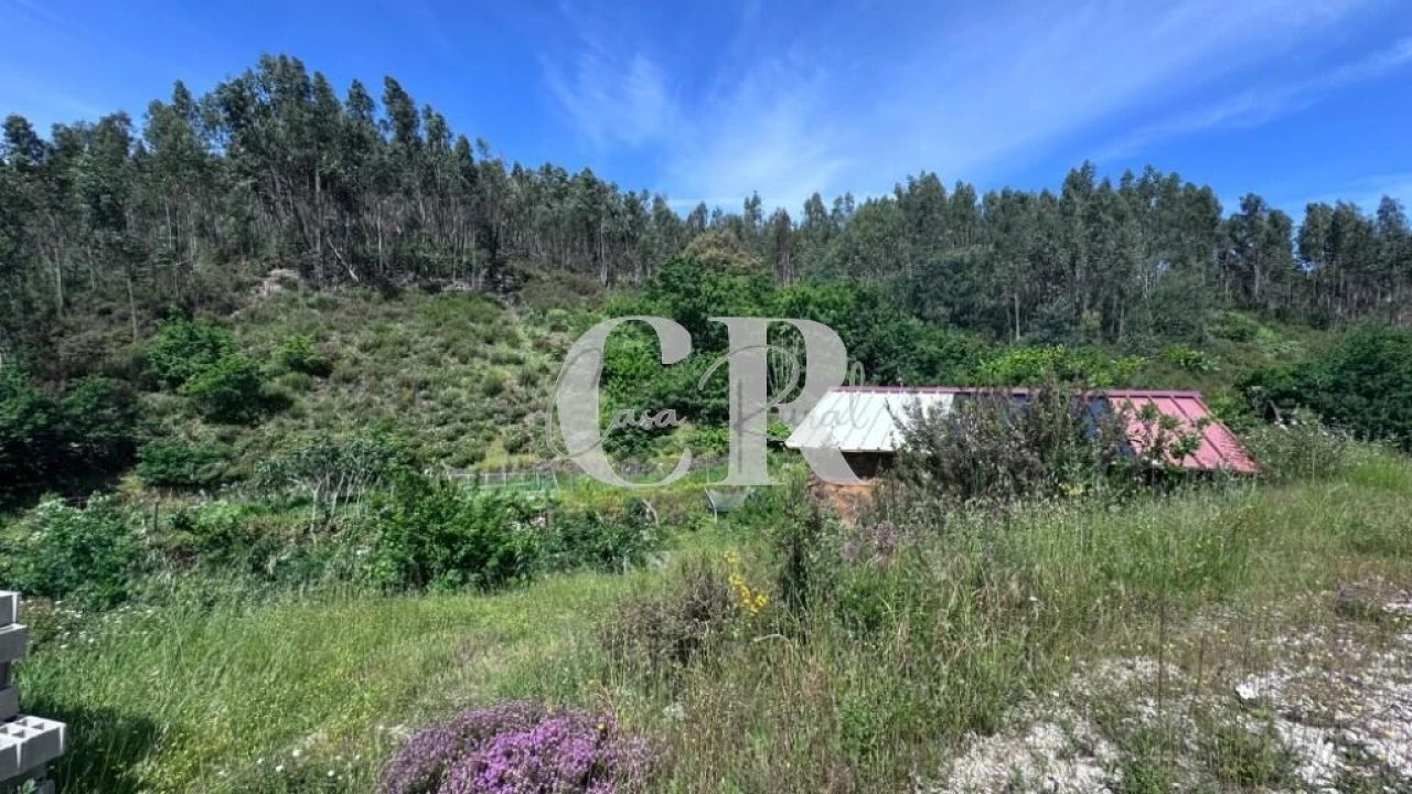 Terreno para Venda em Graça Foto 33