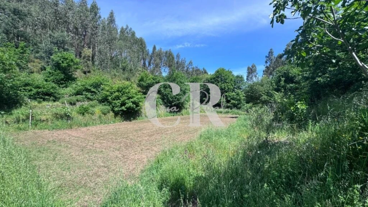 Terreno para Venda em Graça Foto 34