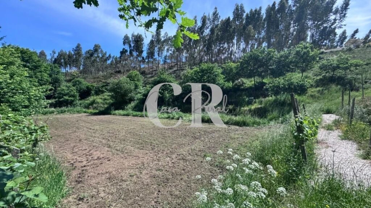 Terreno para Venda em Graça Foto 35