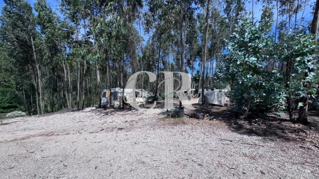 Terreno para Venda em Graça Foto 29