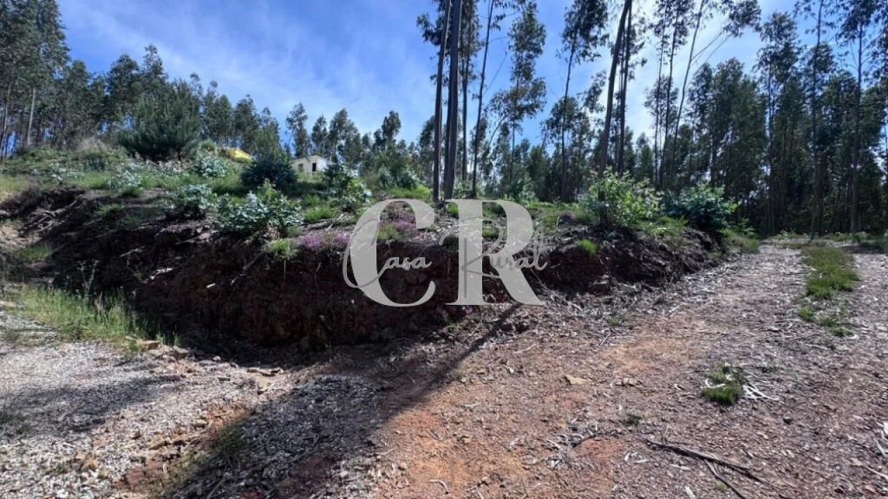 Terreno para Venda em Graça Foto 32