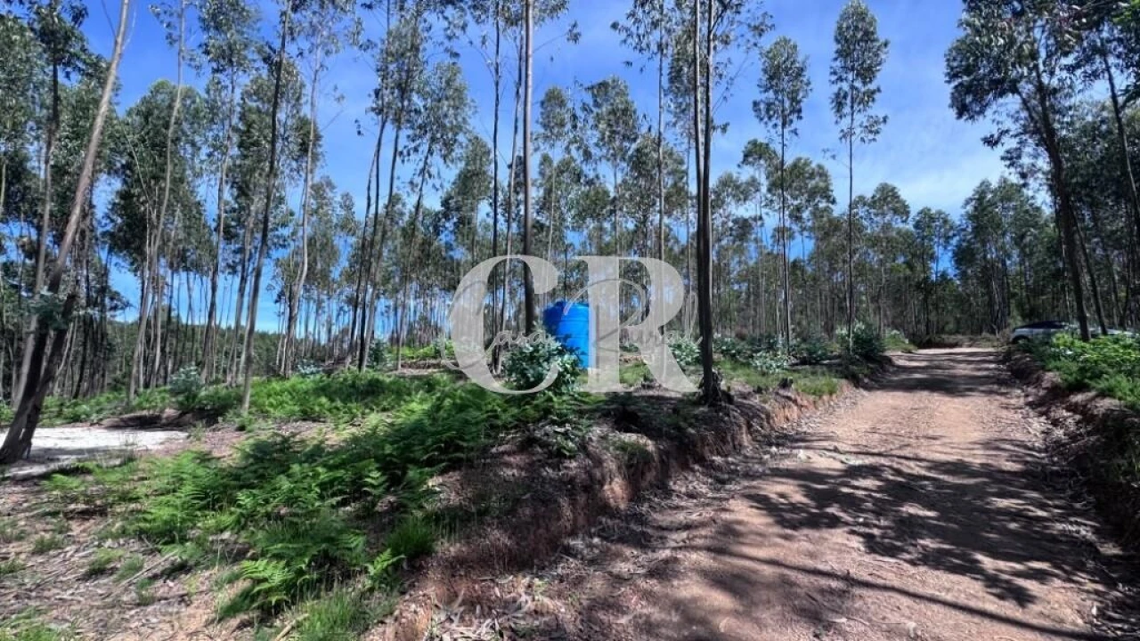 Terreno para Venda em Graça Foto 27