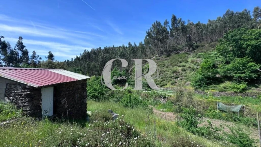 Terreno para Venda em Graça Foto 20