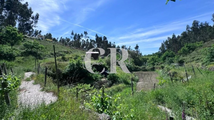 Terreno para Venda em Graça Foto 21