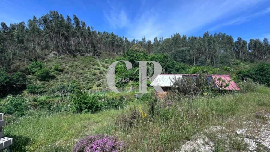 Terreno para Venda em Graça Foto 33