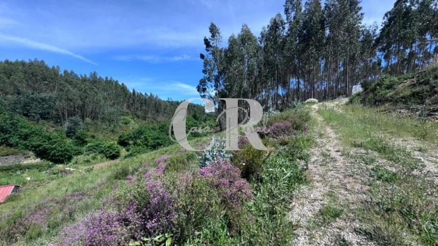 Terreno para Venda em Graça Foto 30