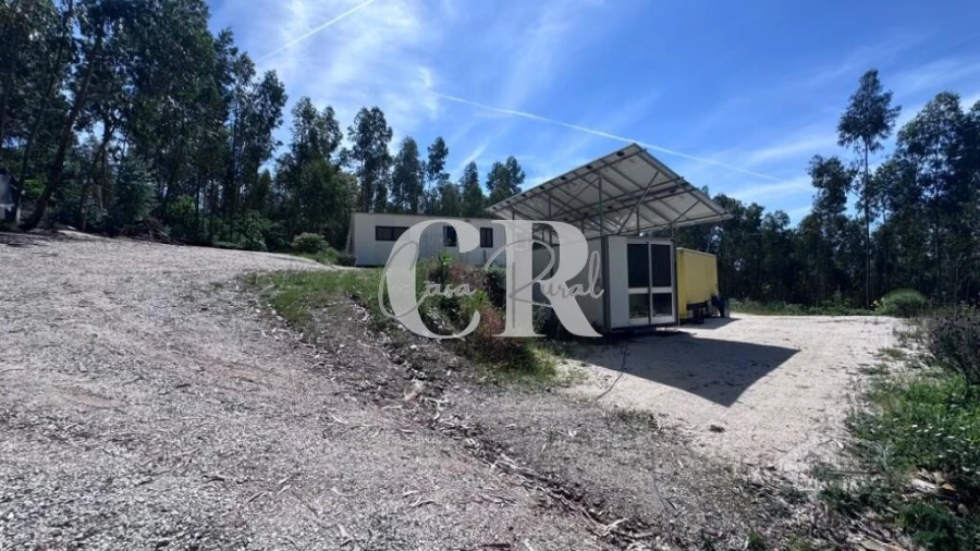 Terreno para Venda em Graça Foto 3