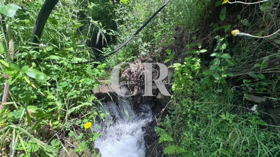 Terreno para Venda em Graça Foto 36