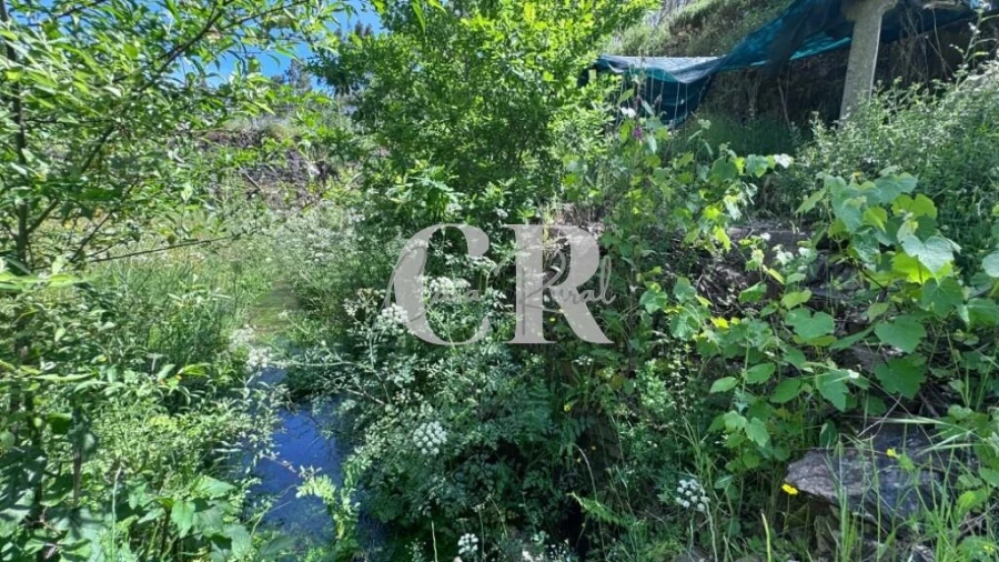 Terreno para Venda em Graça Foto 23