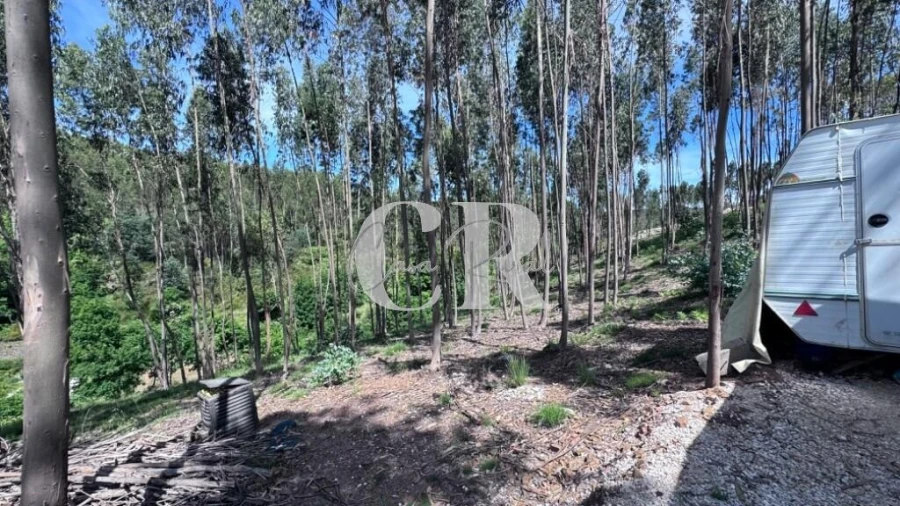 Terreno para Venda em Graça Foto 5