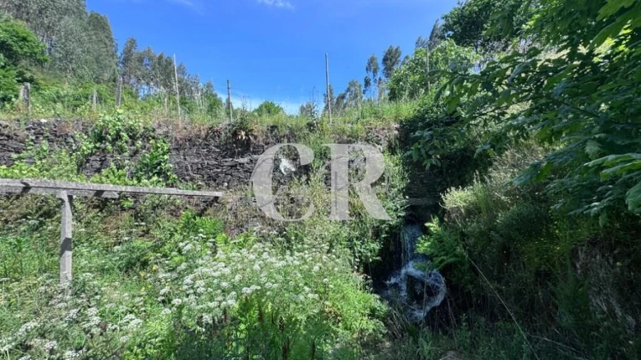 Terreno para Venda em Graça Foto 24