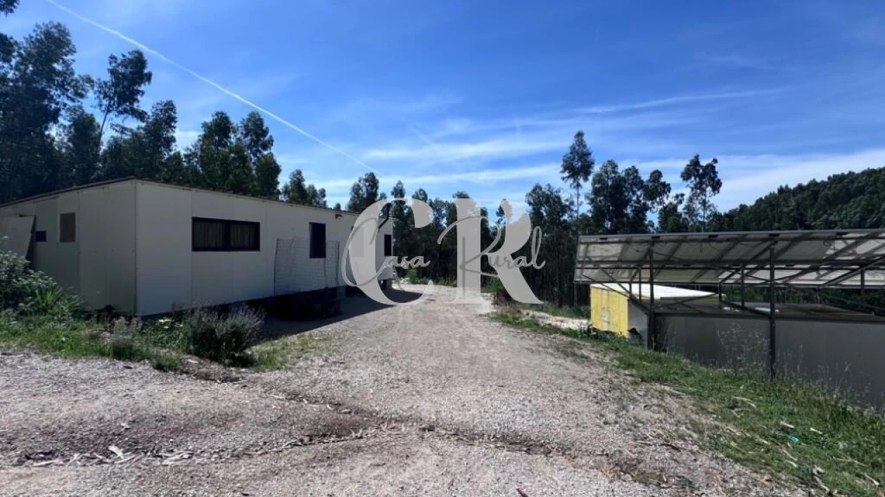 Terreno para Venda em Graça Foto 2