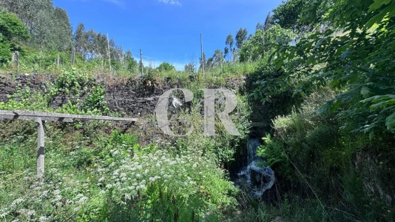 Terreno para Venda em Graça Foto 24