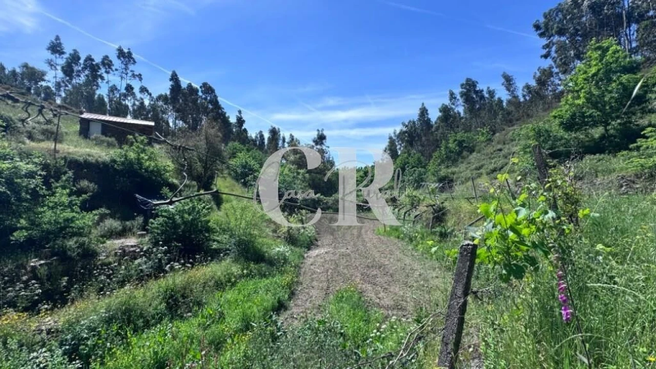 Terreno para Venda em Graça Foto 22
