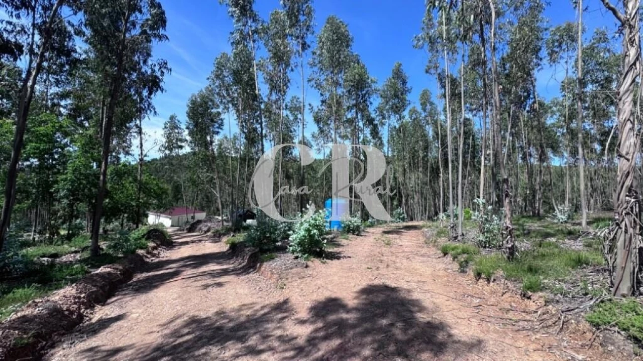 Terreno para Venda em Graça Foto 26