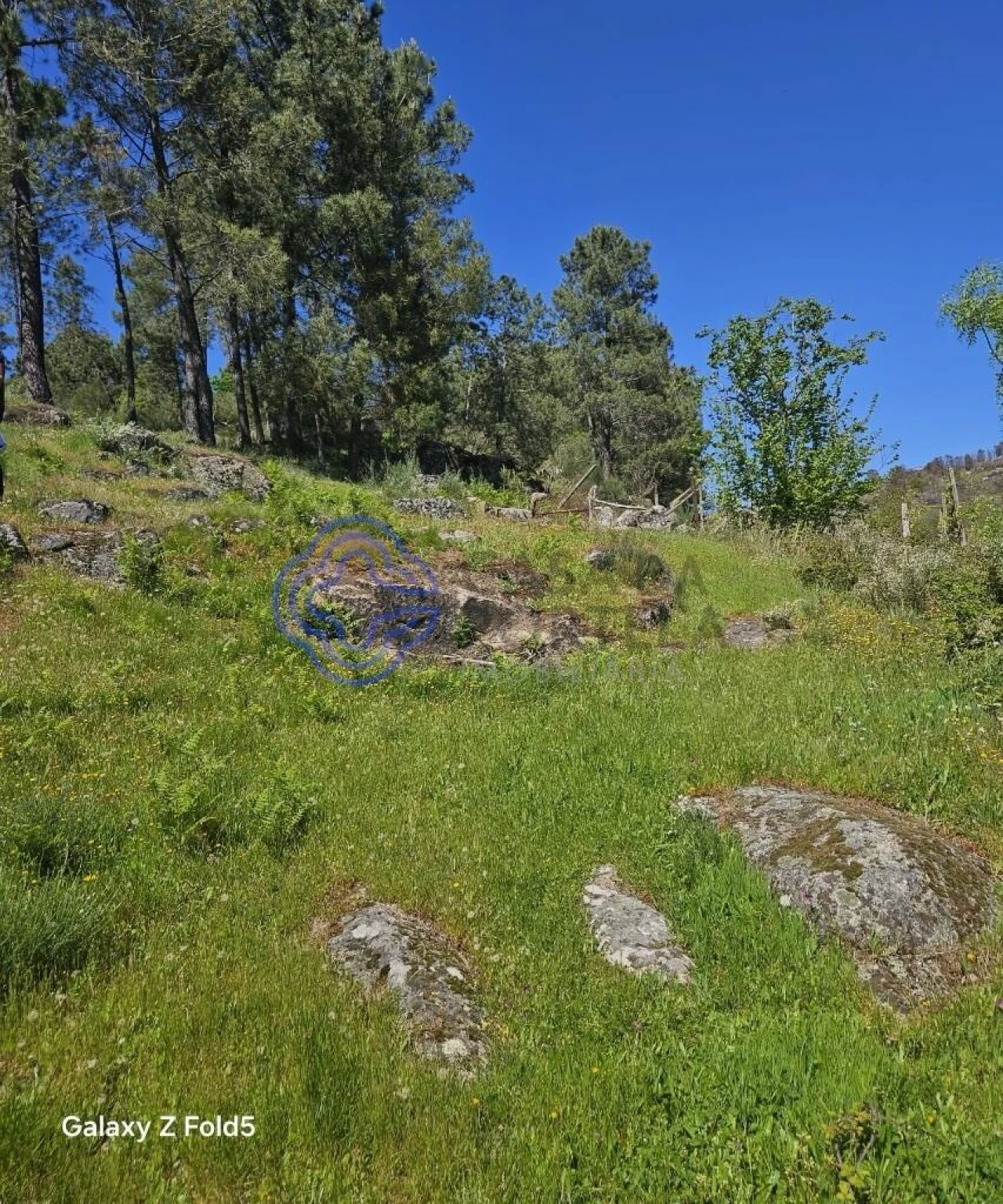 Terreno para Venda em Ferreiros de Tendais Foto 14