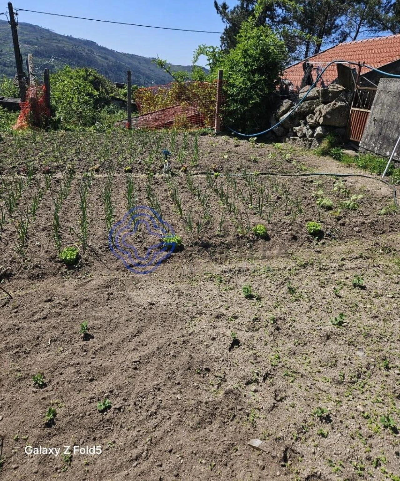 Terreno para Venda em Ferreiros de Tendais Foto 25
