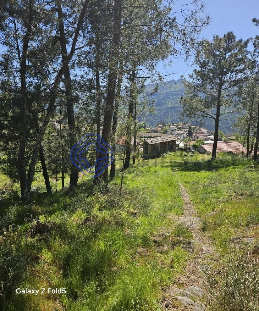 Terreno para Venda em Ferreiros de Tendais Foto 13