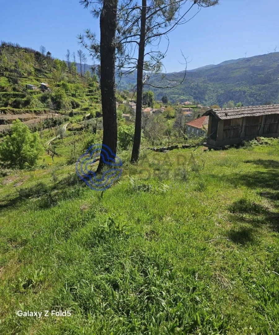 Terreno para Venda em Ferreiros de Tendais Foto 3