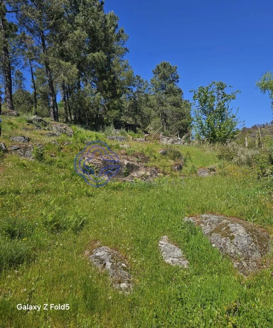 Terreno para Venda em Ferreiros de Tendais Foto 14