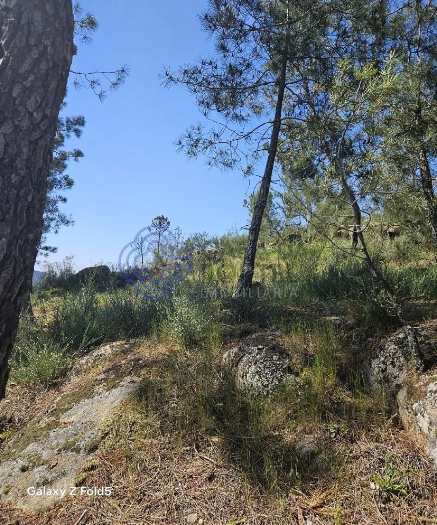 Terreno para Venda em Ferreiros de Tendais Foto 2