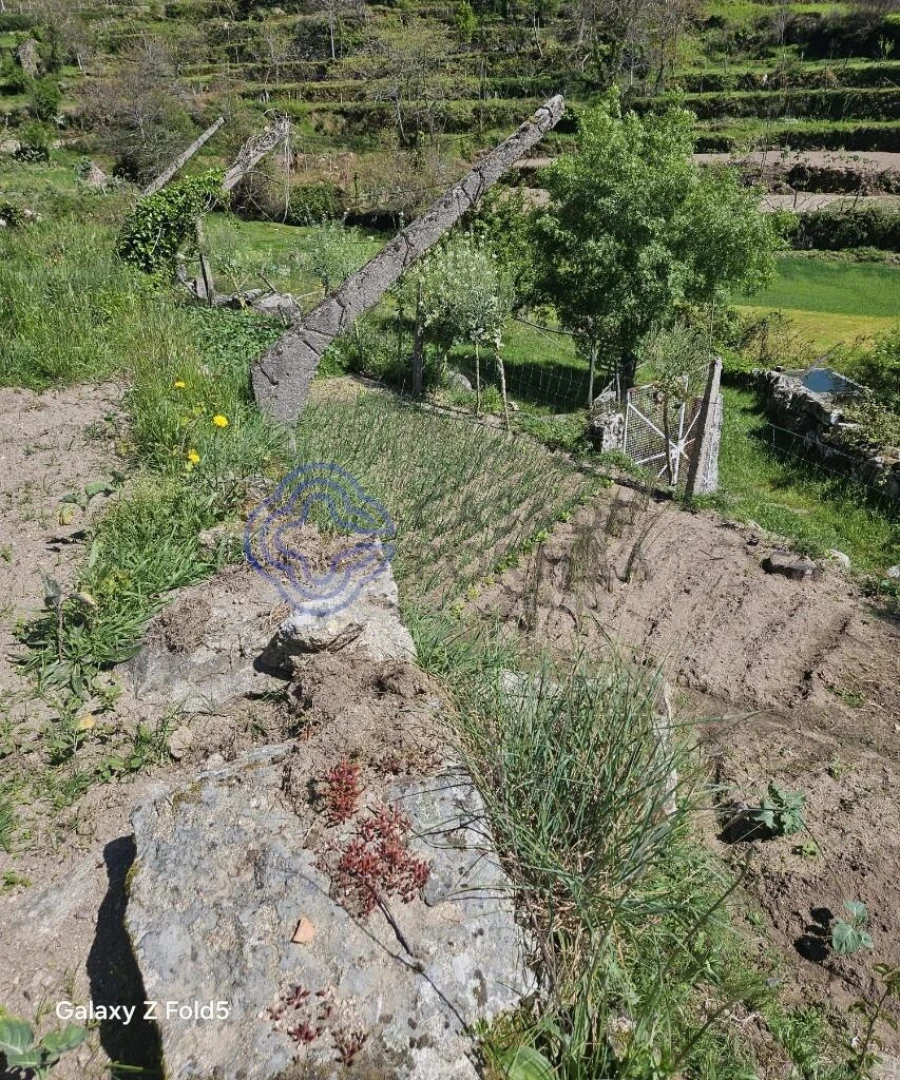 Terreno para Venda em Ferreiros de Tendais Foto 6