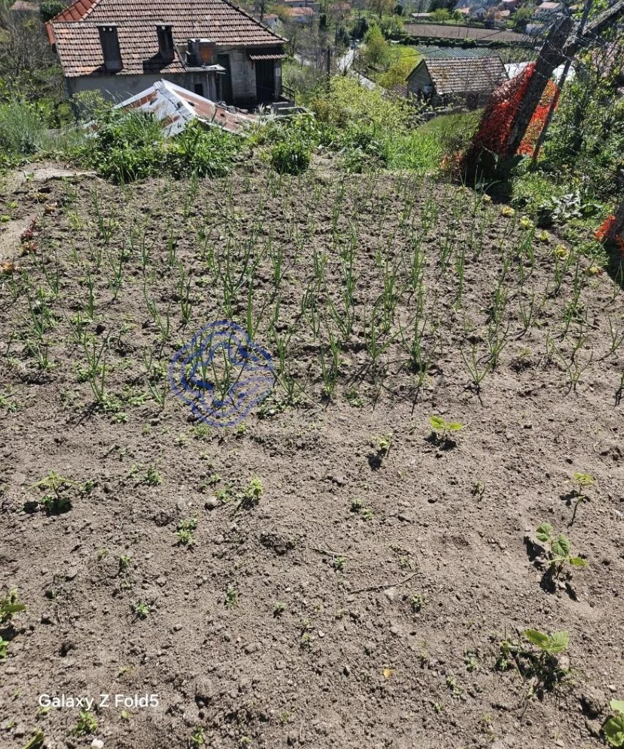 Terreno para Venda em Ferreiros de Tendais Foto 16