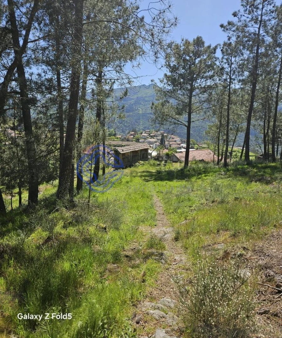 Terreno para Venda em Ferreiros de Tendais Foto 5