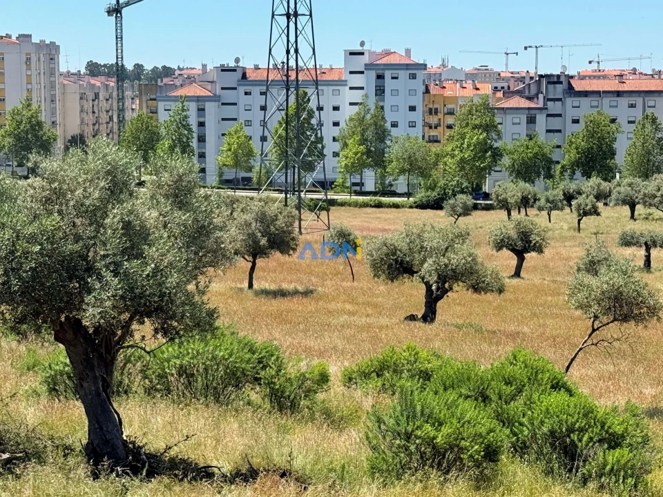Terreno para Venda em Castelo Branco Foto 6